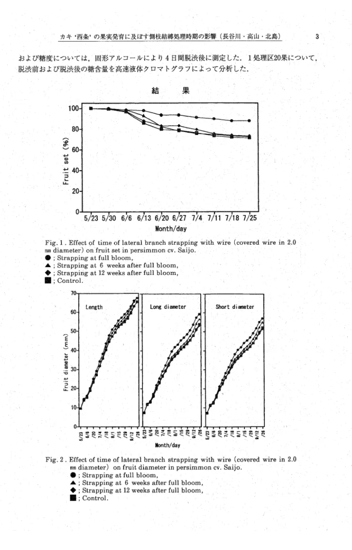 Fig. 1 . Effect of time of lateral branch strapがng with wire (covered wire in 2.０ ram diameter) oうfruit set in persiminon cv