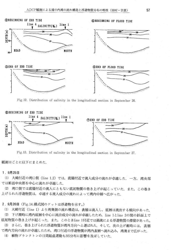 Fig. 12. Distribution of salinity in the longitudinal section in September 26