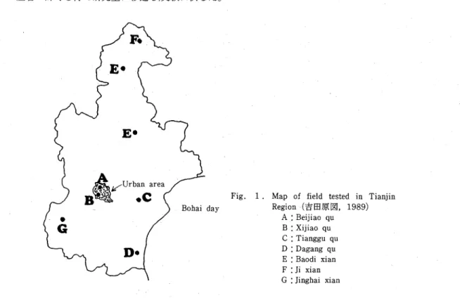 Fig. 1 . Map of field tested in Tianjin       Regio［（吉田原図,1989)        Ａ: Beijiao qu        Ｂ: χijiaoqu        Ｃ: Tianggu qu        Ｄ:Dagang qu        .Ｅ:Baodixian         Ｆ :Ji χian         Ｇ : Jinghai xian  ２．供試土壌中の微生物＼採取した土壌は天津市土壌肥料研究所にて直ちにＰＤＡ培地を用いて 寒天稀