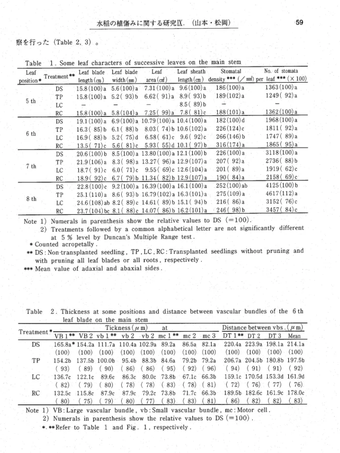 Table 2. Thiとkness at some positions and distance between vascular bundles of the 6 th    ‥‥‥ ‥leafblade on the main｡stem  犬し             一 ∧