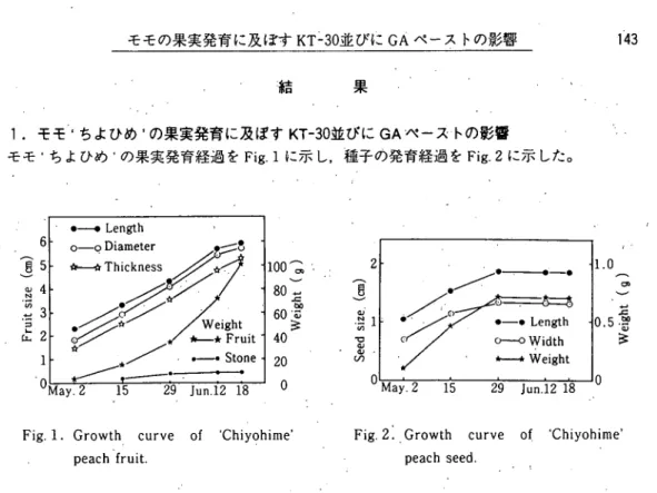 Fig; 4. Effect of KT‑30 and GA‑paste     treatment ｏｎ Chiyohime' peach     fruit length