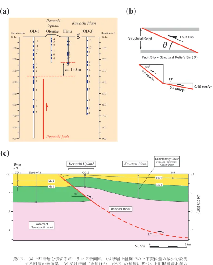 Fig. 6. (a) Borehole transect across the Uemachi fault. (b) Cartoon illustrating the relationship between a decreasing uplift rate and a thrust trajectory
