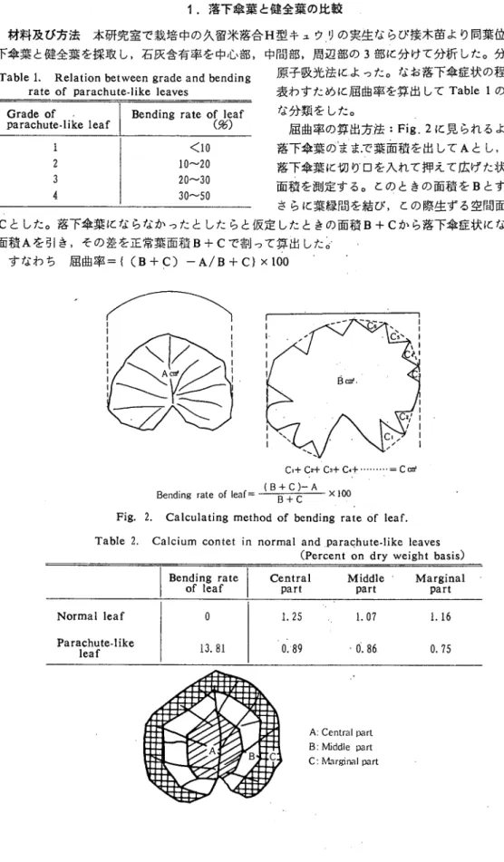 Table 1. Relation between grade and bending  原子吸光法によ s)た。なお落下傘症状の程度を rate of parachute‑like leaves