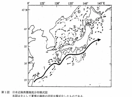 図 3.5-1  日本近海表層海流分布模式図      ＜出典 4＞ 