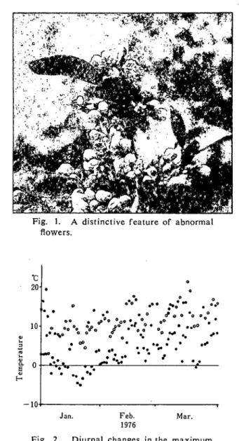 Fig. 1. A distinctive feature of abnormal  flowers.   ・ ＝・；： ゜．・・ｊ ' ≪  ≪℃20   凶 a ａ ｎ ｊ Ｂ Ｊ ｓ ａ ｉ ａ ａ   I ｡φ         ＠        ＠      ＠●●● .‑.･‑ ・ ●？Ｏ  ●○  ♂ａ＠●＠●●０●･･･゜ｏ °..<"> ゛●Ｏｅ ９     ｓ °ｊ゛ ・．゛￣ ♂゛●Ｓ     ●● 心 ●● ●●   ●●● ●  ●♂●●● ●● ●● ● ♂● 