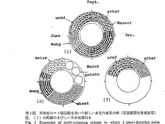 Fig. 5 Examples of multi‑cropping system in which 4 short‑duration pｕ】se  cultivars were grown (I