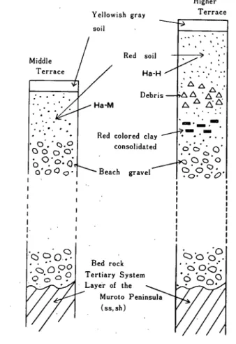 Fig. 1. Profile of outcrops at Hazeyama  terrace.  した。(Fig. 1.参照）  供試土埃の色3は, Ha‑Mが湿土色 2.5YR3/6,風乾土色2.5YR4/8, Ha‑H が湿土色10R4/6,風乾土色10R5/8で，拍 者の赤味が強い。 供試土臓の磯について&gt;Ha‑Mは原土中 11％強，その大部分は直径２〜５ｍｍに属 し，５〜７ｉｍの部分はごく僅かで, 7 mm 以上のものはない。水洗磯は表面が比較的 新鮮で固く，ほとんどがﾒし味をおびて，水 