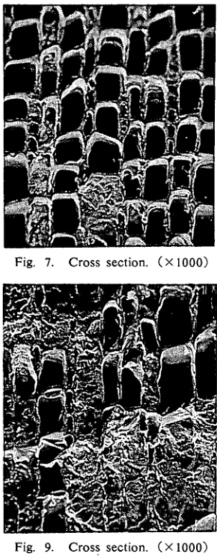 Fig. 9. Cross section. （×1000）      Fig. 10. Cross section. （×3000）