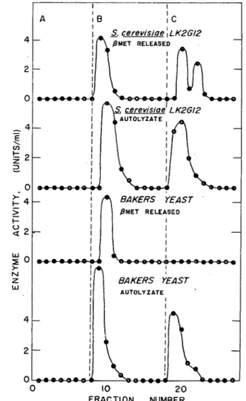 Fig. 6. Comparison of Invertase Form in β‑Mercaptoethanol released Enzyme  and in Autolyzate.