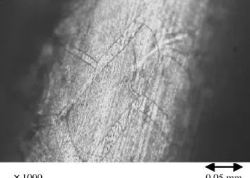 Fig. 7 CCD microscope image of cathodic electroplated  Pt – WO x at –0.3 V vs. SHE after 5 cycles of 10 -3 V s -1 sweep in 1M H 2 SO 4 at 25℃ under O 2 .