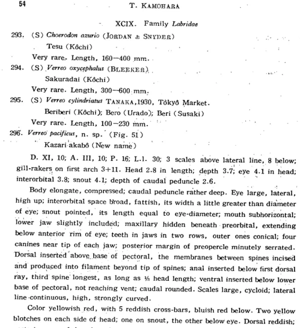 Fig. ａ Ｆ。ｒΓeo pacぴicus。n. sp