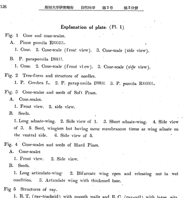 Fig. 2 Tree‑form nd slruclure of needles･                      '    1. Ｐ. Cembra Ｌ. 2