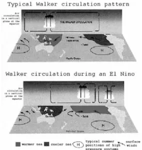 Figure 1.  Walker circulation