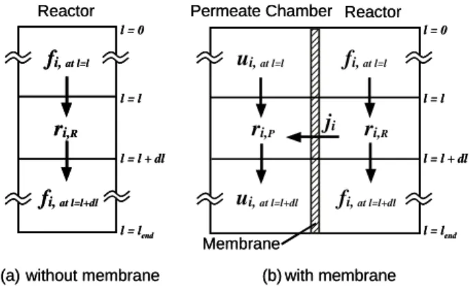 Fig.  10.  Schematic  diagram  of  Reactor  for  numerical analysis 