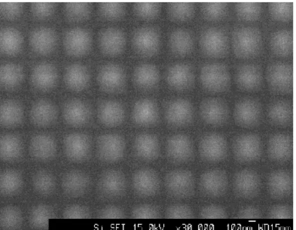 Fig. 4.2-2  ドーズ量ごとの規則配列ピラミッド構造（TMAH エッチング） 
