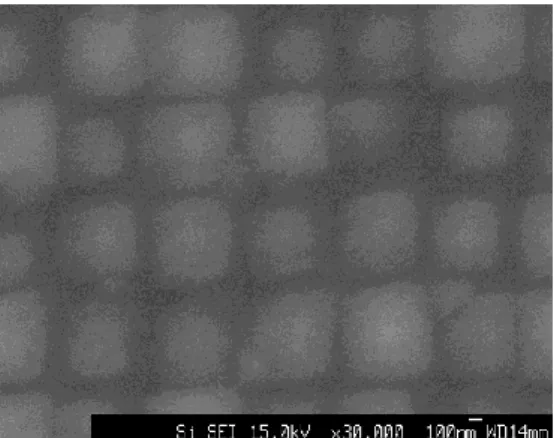 Fig. 4.2-5  規則配列ピラミッド形成へのエッチング時間の影響Ⅱ  TMAH 59 sec  エッチング  ドーズ量  59 pC/dot 