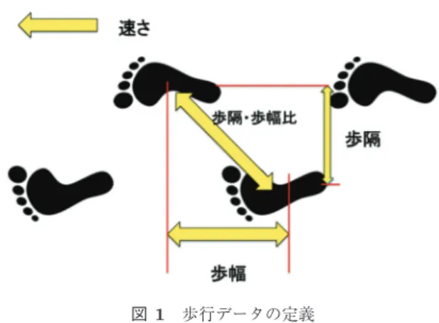 Fig. 1 The definition of the feature values of walking data.