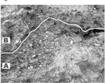 Fig. 6 Gravel bed (A) and occurrence of molluscan fossils in  the  uppermost  part  of  the  Furuya  Formation  at  Loc.