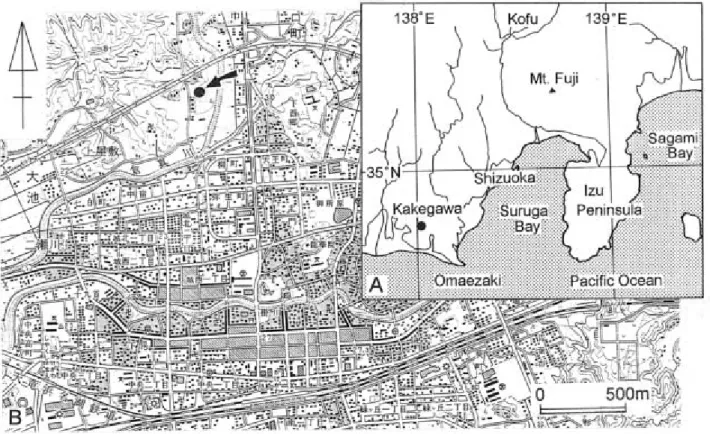 Fig.  1  Locality  maps,  (A)  index  map,  the  black  dot  is  the  study  area;  (B)  locality  map  of  the  site  (black  dot) where the fossil mysticete cetaceans were found plotted on 1:25000-scale topographic map, Quadrangle &#34;Kakegawa&#34;, Geo