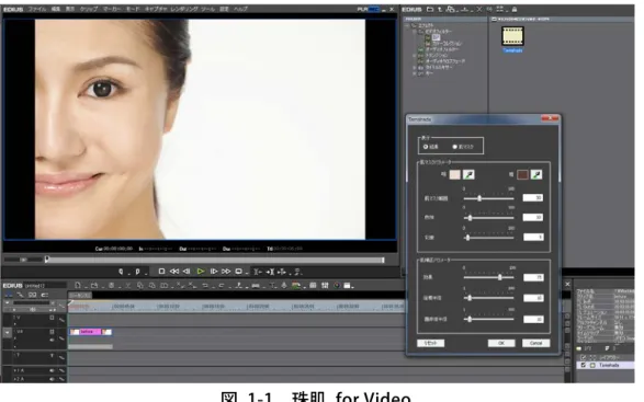 図  1-1  珠肌  for Video 