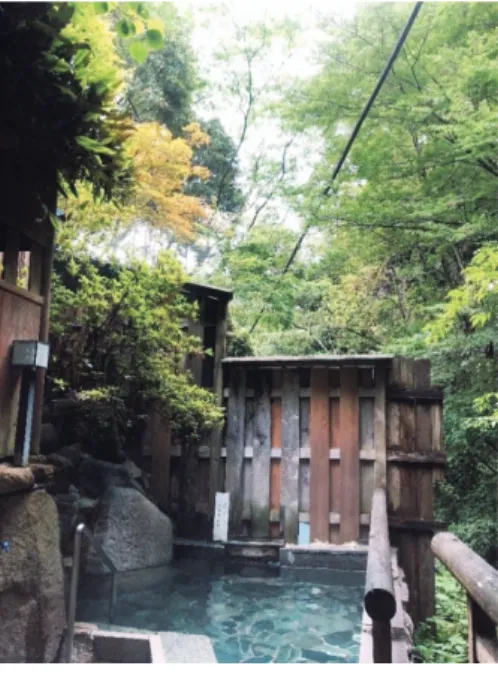 図 8 　公衆浴場「滝の湯」 2019年6月16日，焦自然撮影。 図 9 　公衆浴場の利用者数 （上：2015年度の月別，下： 年別）十津川村観光協会調査資料による。 3
