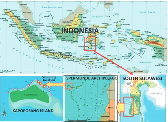 Fig. 1. Sampling location in Kapoposang Island.