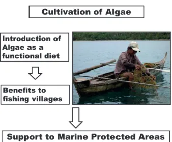 Fig. 9. Cultivation of algae to support marine protected  areas.
