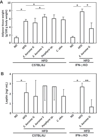 Fig. 5. Effects of algae homogenates on the blood glucose  level of HFD-treated prediabetic wild type and IFN-γ KO  mice