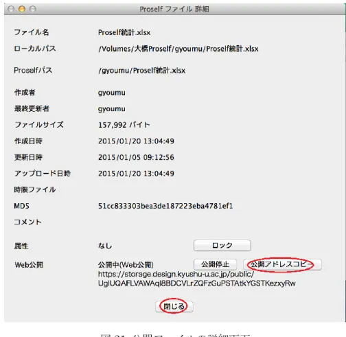 図 21  公開ファイルの詳細画面 