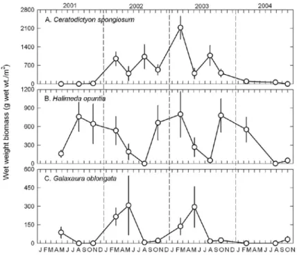 Fig. 7   Temporal variations in areal wet weight of dominant algae during 2001-2004. Data are presented as mean ± SD  (n=8)