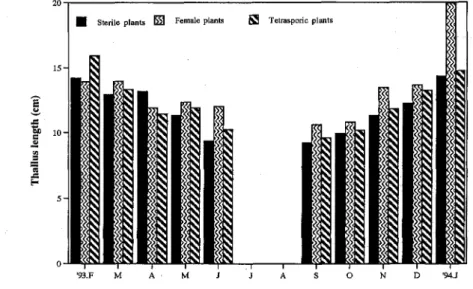 Fig. 3. Seasonal changes in the thallus length of G. blocigetii
