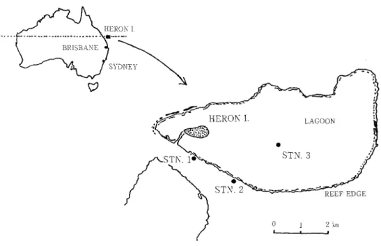 Fig. 1. Location of seawater sampling stations at Heron Island, Great Barrier Reef, Australia