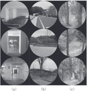 Fig. 2 Examples of pictures taken in the environments  of  （a）  indoor,  （b）  outdoor open ﬁeld, and  （ c）  out door  closed ﬁeld  （forest）.