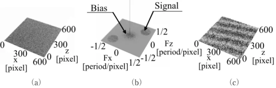 Fig. 6 Speckle pattern and specklegram.  （ a）  Speckle pattern,  （b）  speckle pattern in  frequency domain,  （c）  specklegram.