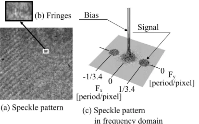 Fig. 2 Feature of speckle pattern grabbed by the optical system.