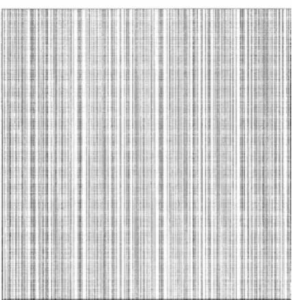 Fig. 5 Extracted irregularity in Fig. 4 by the Fourier  di›erence filter shown in Fig
