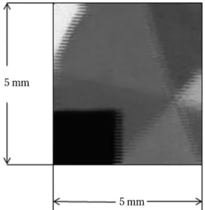 Fig. 10 Optical microscope image  （transmission  mode）  of a six-colored circle specimen and a  black-painted square.