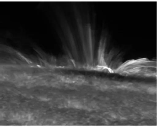 図 9 波長 396.8 nm（カルシウム II 輝線）で取 得した太陽表面の画像．スケールは 40000 × 32000 km（提供：国立天文台/JAXA）．