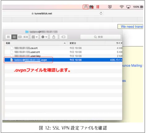 図 12: SSL VPN 設定ファイルを確認