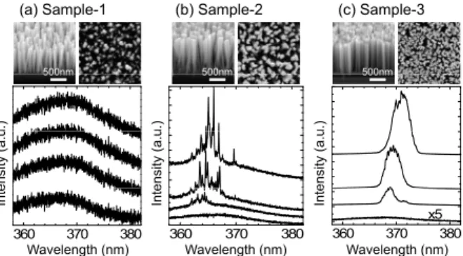 図 9 実験で使用した 3 つのサンプルの SEM 像と，光強励起