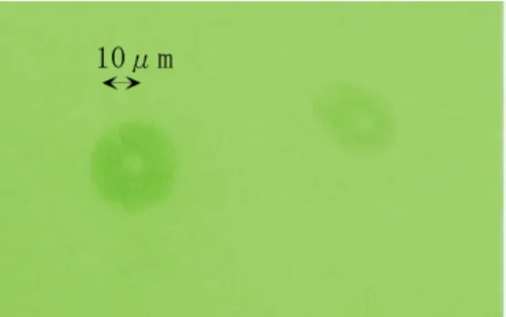 Fig. 7: The enlarged photo of Fig. 6. The size of  a each etch pit was estimated at 10~20  μm