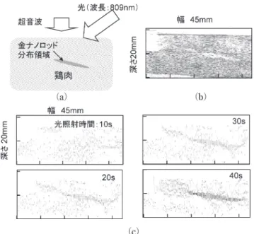 図 10 鶏肉中の金ナノロッドの超音波速度変化画像の測定．(a)試 料，(b)B モード (通常の超音波画像)，(c)超音波速度変化画像．