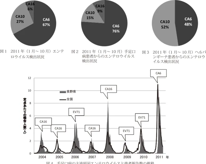 表 1 　長野県における手足口病患者からのウイルス分離・検出状況 ※ 1～10月 　CA　2 1 （ 9） 2 （ 6） 　CA　6 1 （13） 1 （ 6） 2 （14） 35 （76） 　CA  9 1 （ 2） 1 （11） 2 （14） 　CA 10 1 （13） 7 （15） 　CA 16 7 （64） 6 （75） 5 （12） 13 （76） 30 （94） 1 （11） 4 （ 9） コクサッキーウイルスB群 3型 1 （ 9） 3 （18） EV71 2 （18） 34 （85） 6 （