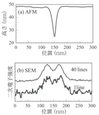 図 2 パターン断面プロファイル．（a）AFM，（b）SEM．