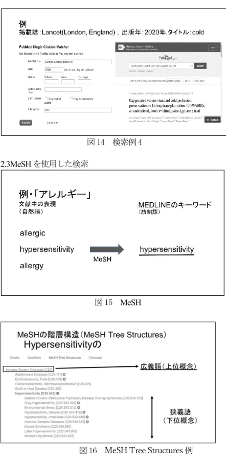 図 14  検索例 4 