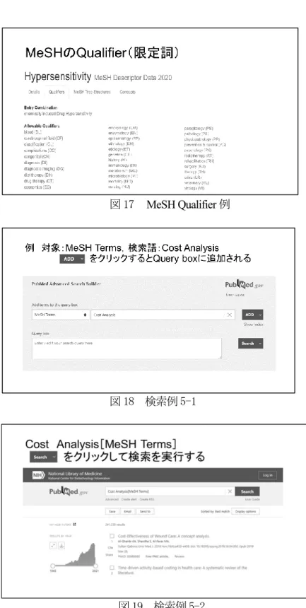 図 17  MeSH Qualifier 例 