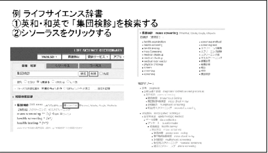 図 24  検索例 7-1 