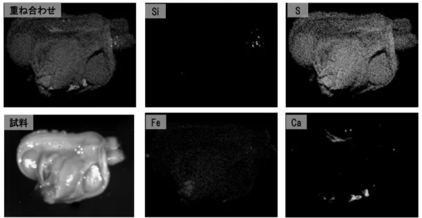 Fig. 11 Analysis result of clam 