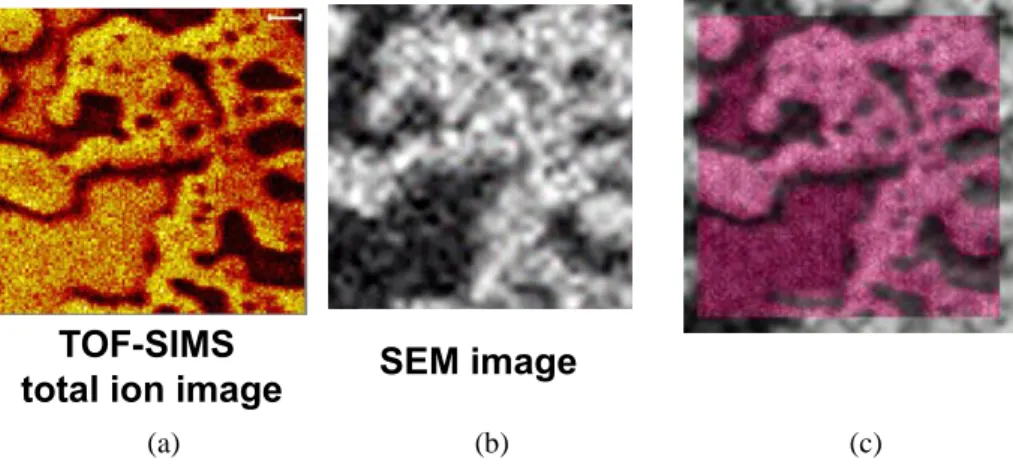 Figure 1 Image data alignment: (a) TOF-SIMS, (b) SEM and (c) fusion image. (color online) 