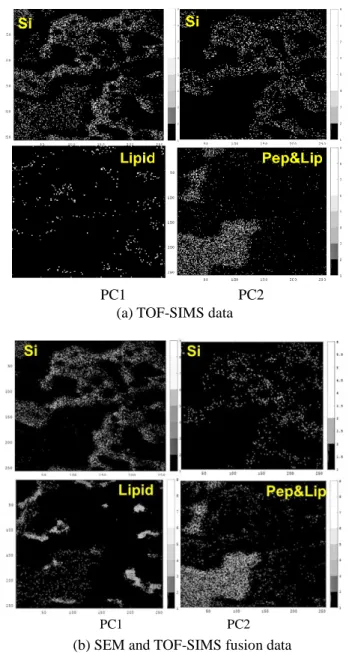 Figure  4 にもとの TOF-SIMS データとして，Si 基